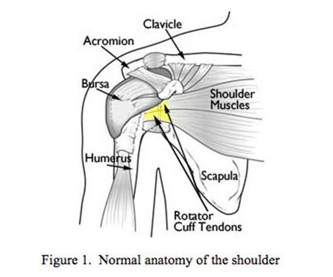 shoulder impingement diagnosis